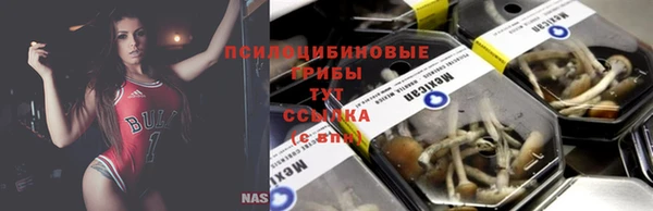 амф Надым
