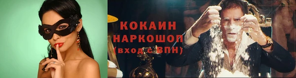 амф Надым