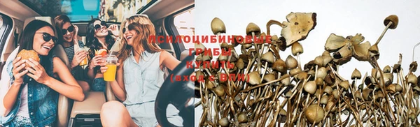 амф Надым