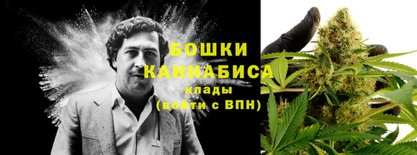 амф Надым